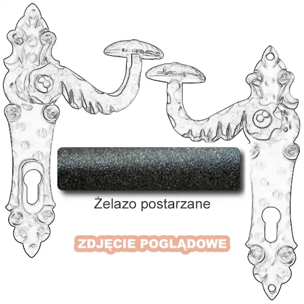 4 Żelazo postarzane.webp