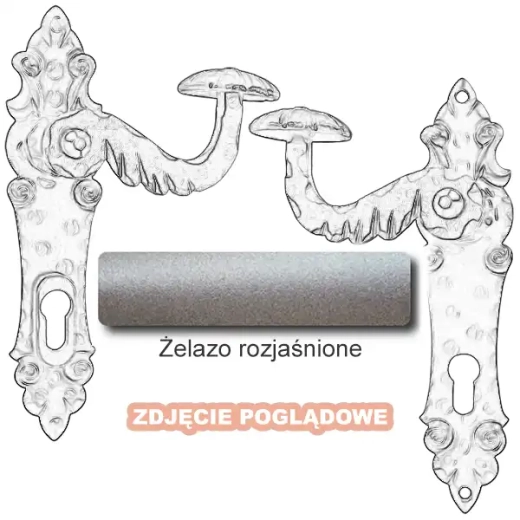 5 Żelazo rozjaśnione.webp