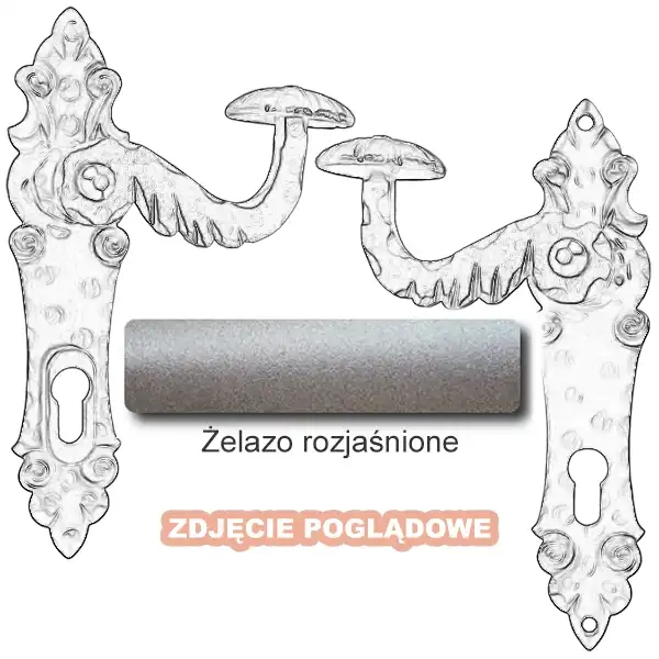 5 Żelazo rozjaśnione.webp