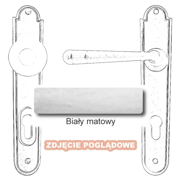 10 Biały matowy.webp