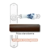 9 Rdza starodawna.webp
