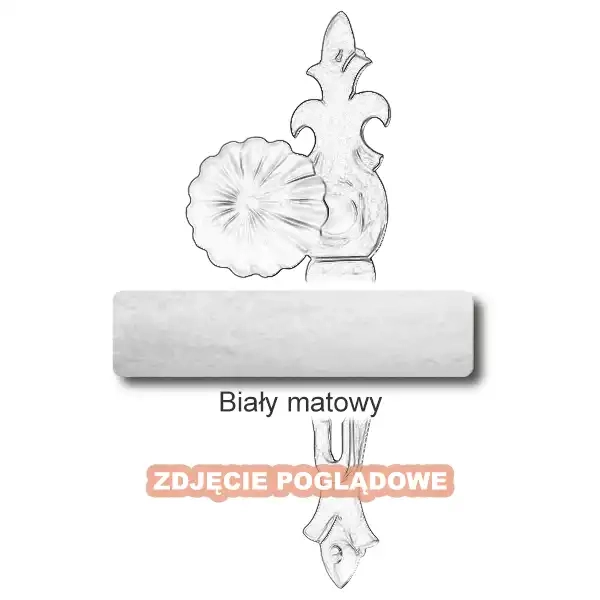 10 Biały matowy.webp