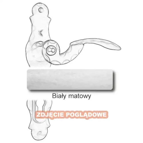 10 Biały matowy.webp