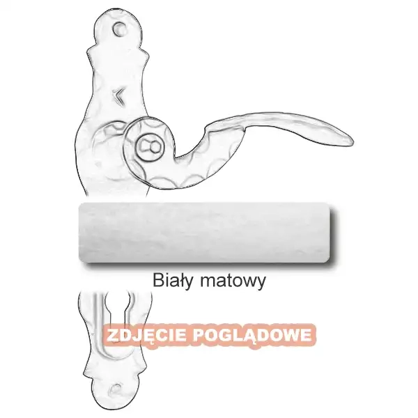10 Biały matowy.webp