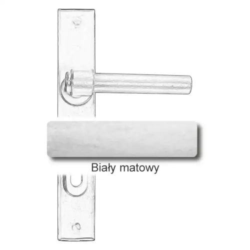 10 Biały matowy.webp