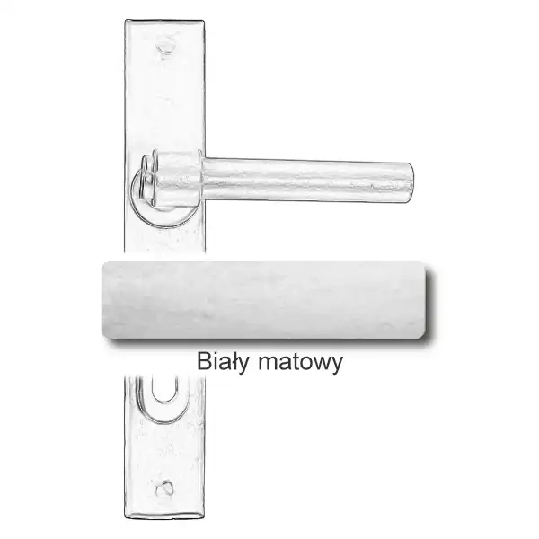 10 Biały matowy.webp