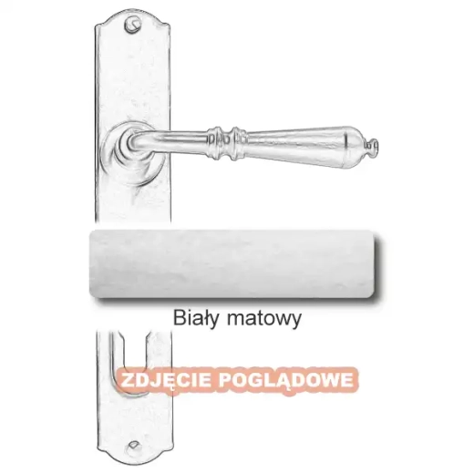 10 Biały matowy.webp