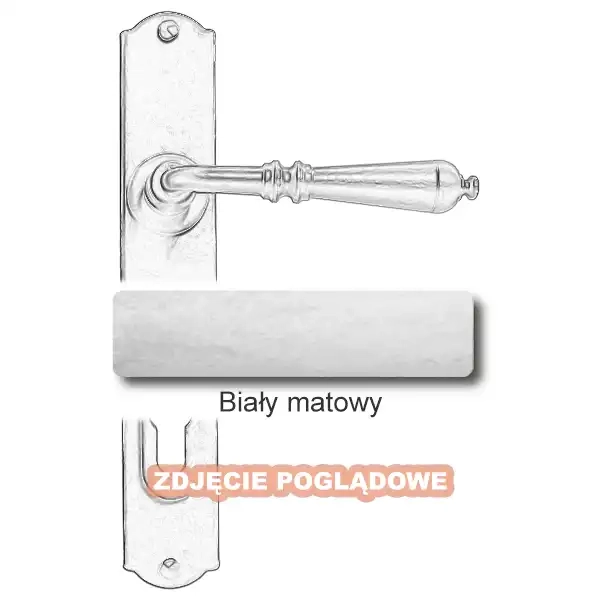 10 Biały matowy.webp