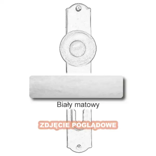 10 Biały matowy.webp