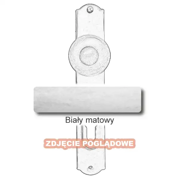 10 Biały matowy.webp