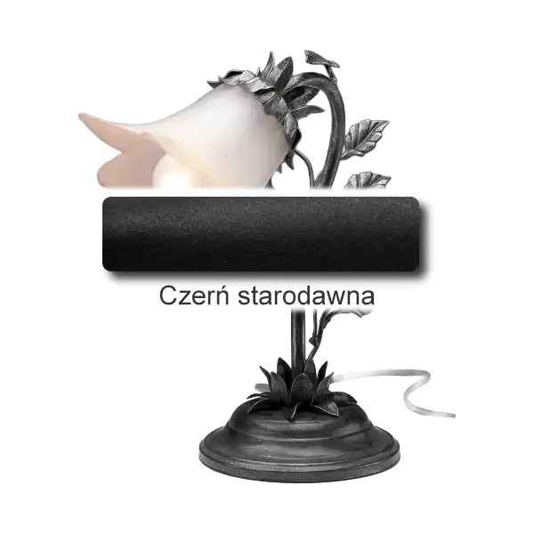 1 Czerń starodawna.webp