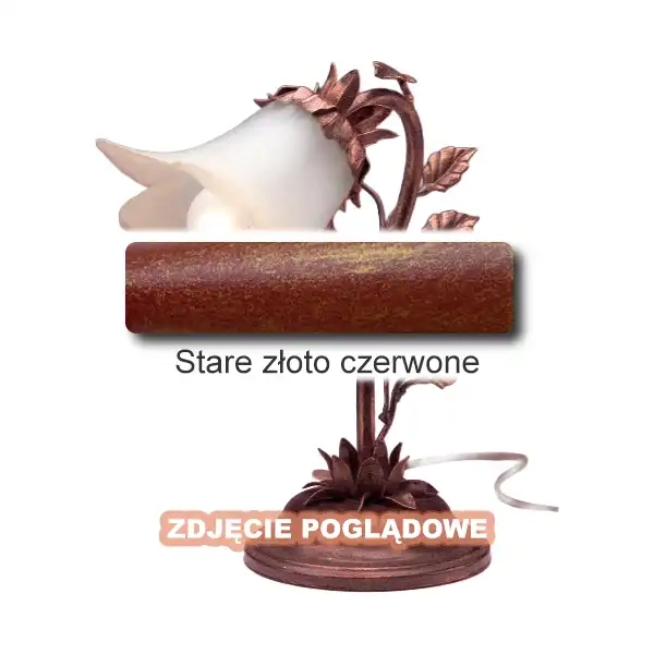 3 Stare złoto czerwone.webp