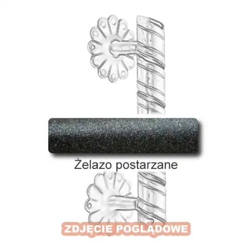 4 Uchwyt Absalon 1090.webp
