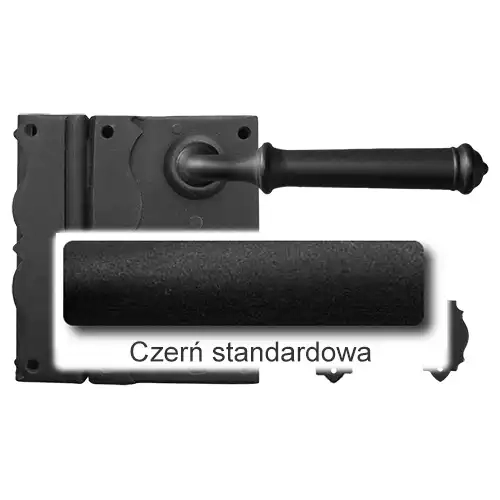 0 Czerń standardowa.webp