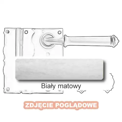 10 Biały matowy.webp