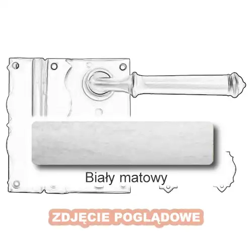 10 Biały matowy.webp