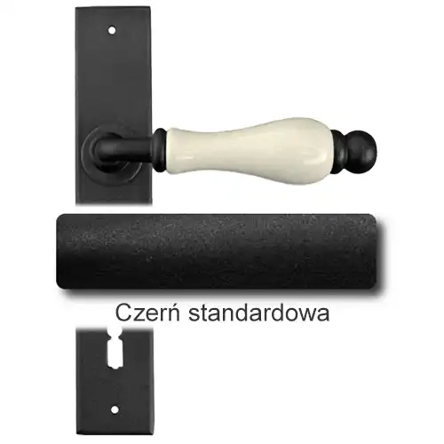 1 Czerń standardowa.webp