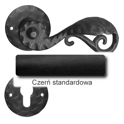 1 Czerń standardowa.webp