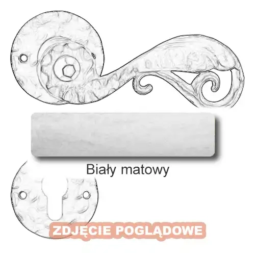 10 Biały matowy.webp