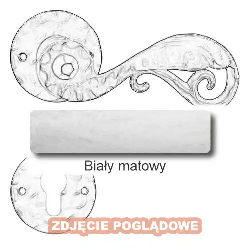 10 Biały matowy.webp
