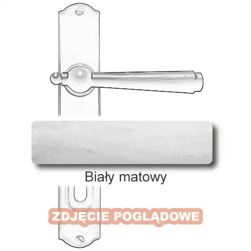 10 Biały matowy.webp