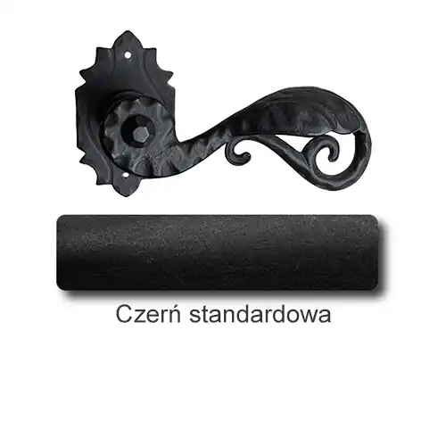 1 Czerń standardowa.webp