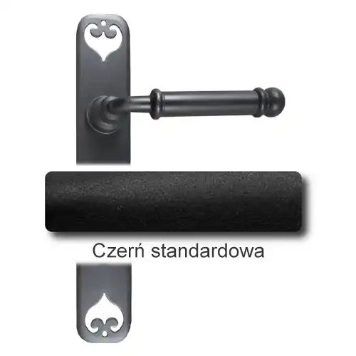 1 Czerń standardowa.webp