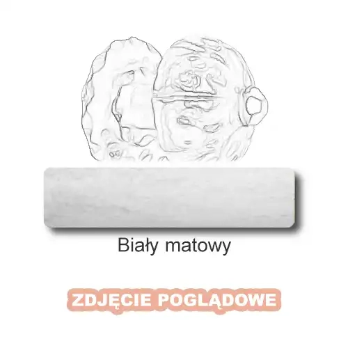 9 Biały matowy.webp
