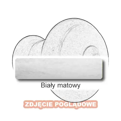 10 Biały matowy.webp