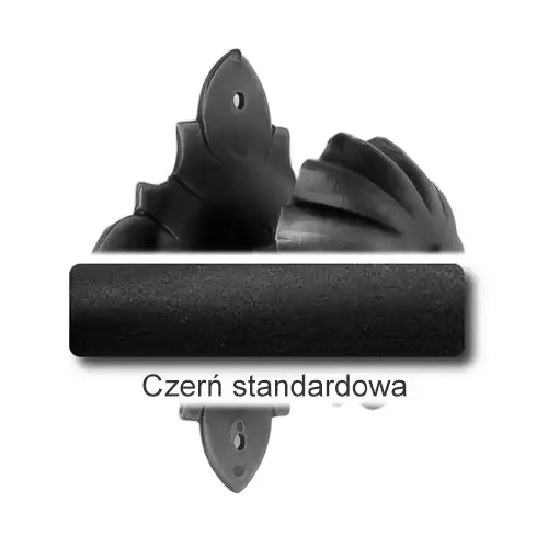 1 Czerń standardowa.webp