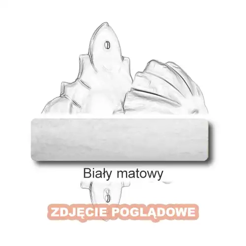 10 Biały matowy.webp