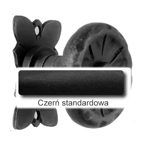 1 Czerń standardowa.webp