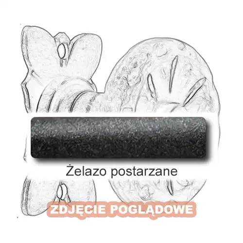 4 Żelazo postarzane.webp