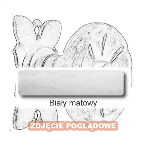 10 Biały matowy.webp