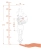 314 WB GALKA kopia.webp