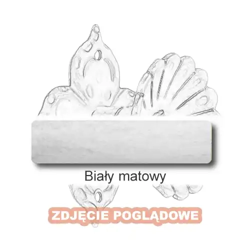 10 Biały matowy.webp