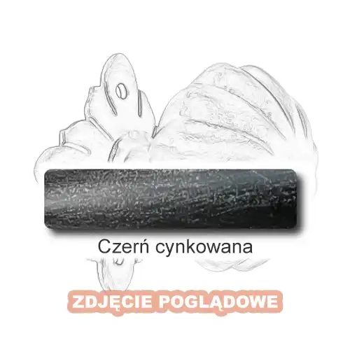 3 Czerń cynkowana.webp