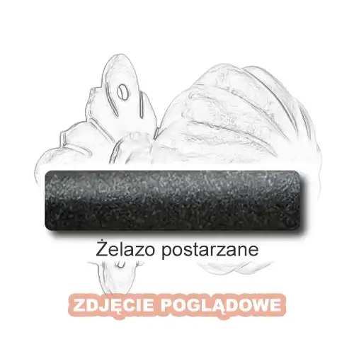 4 Żelazo postarzane.webp