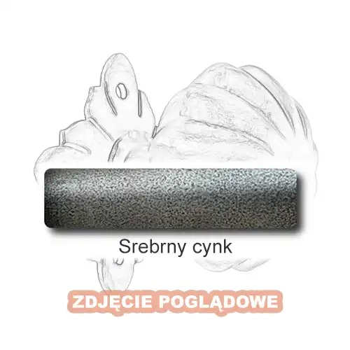 6 Srebrny cynk.webp