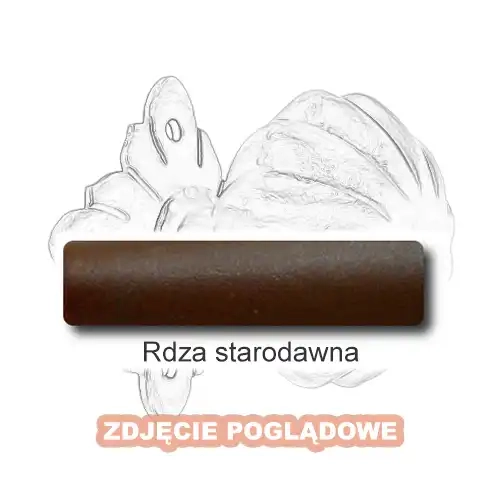 9 Rdza starodawna.webp