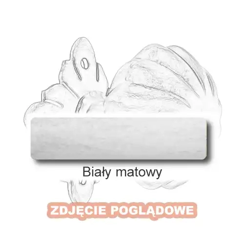 10 Biały matowy.webp