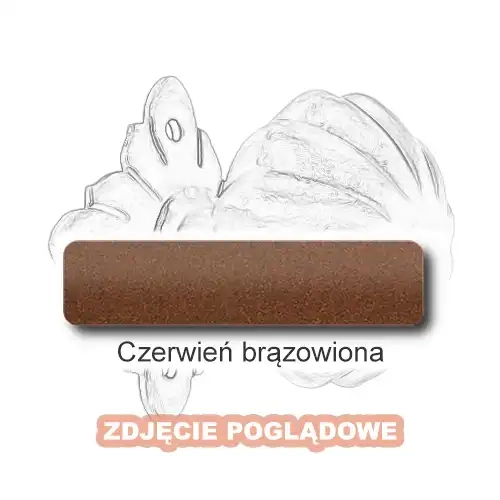11 Czerwień brązowiona.webp