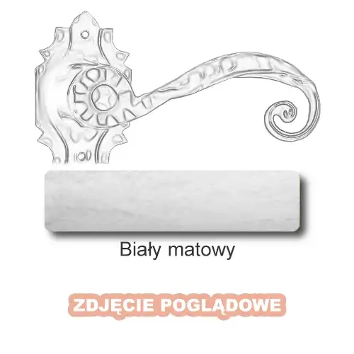 10 Biały matowy.webp