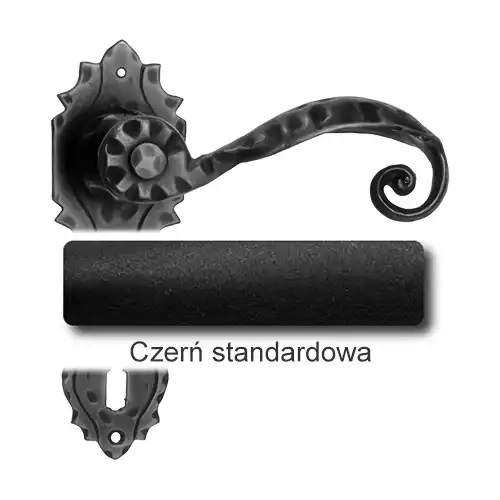 1 Czerń standardowa.webp