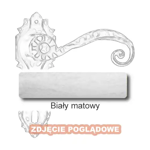 10 Biały matowy.webp