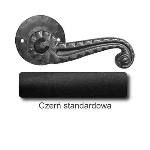 1 Czerń standardowa.webp