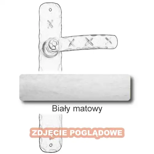 10 Biały matowy.webp