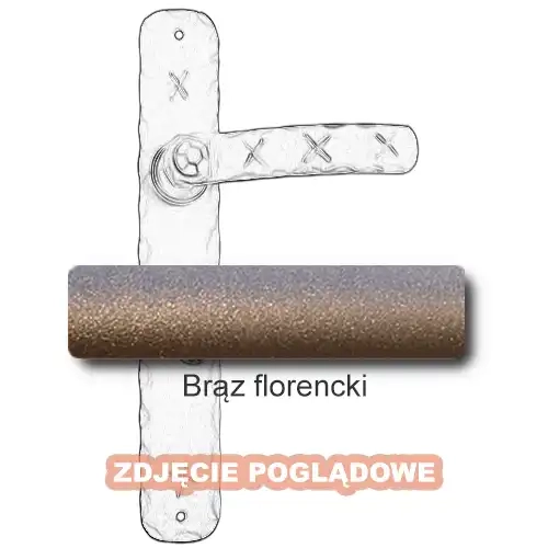12 Brą zflorencki.webp