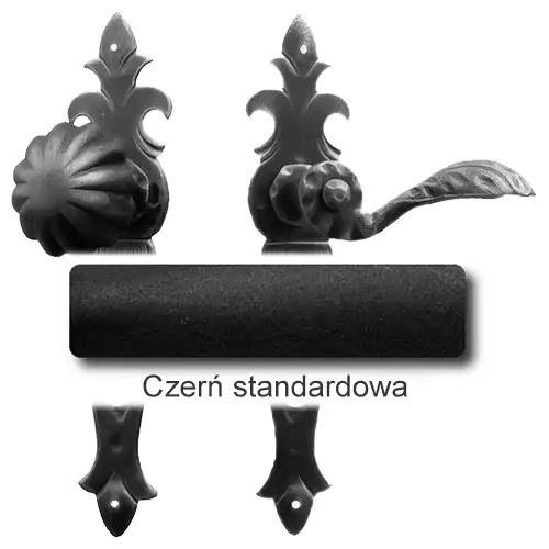 1 Czerń standardowa.webp