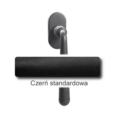 0 Czerń standardowa.webp
